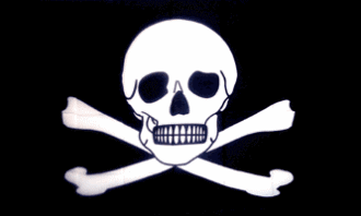 Pirate Flag 2'x3'